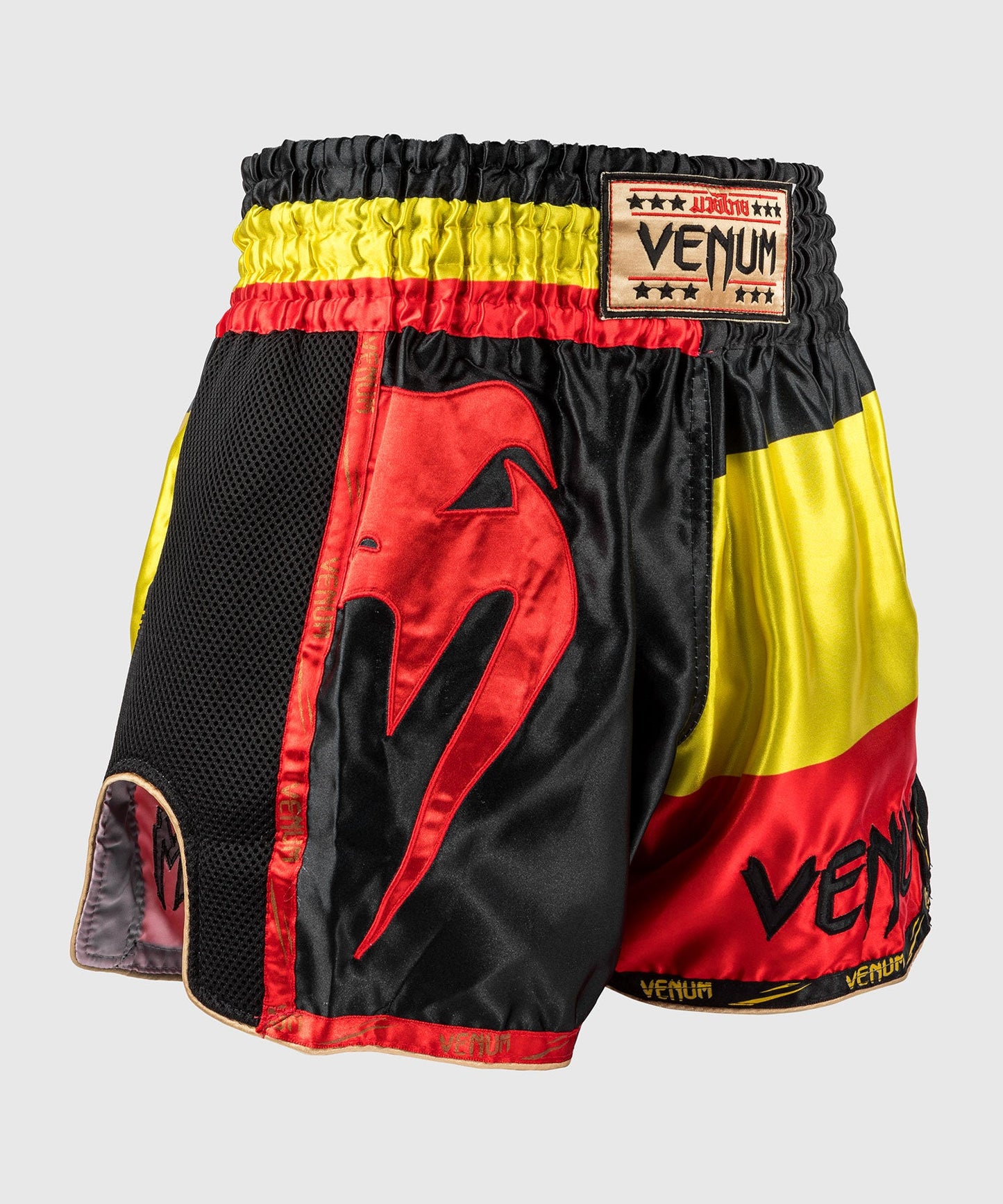 Venum MT Flags Muay Thai Shorts - German Flag