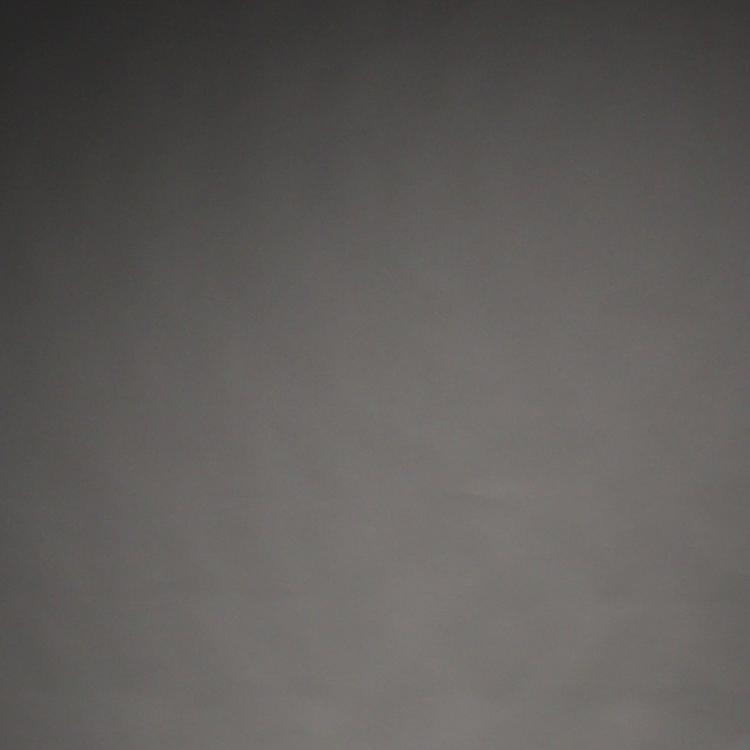 VENUM-06450-100